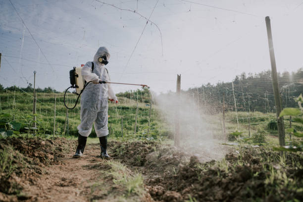 Pest Control Cost in Gurdon, AR