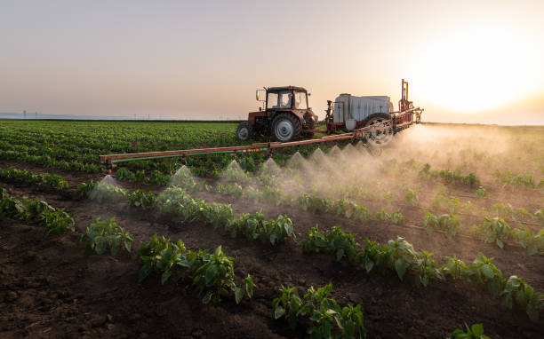 Best Affordable Exterminators  in Gurdon, AR