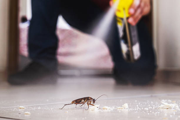 Best Insect Control  in Gurdon, AR