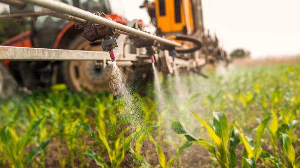 Best Pest Control Near Me  in Gurdon, AR